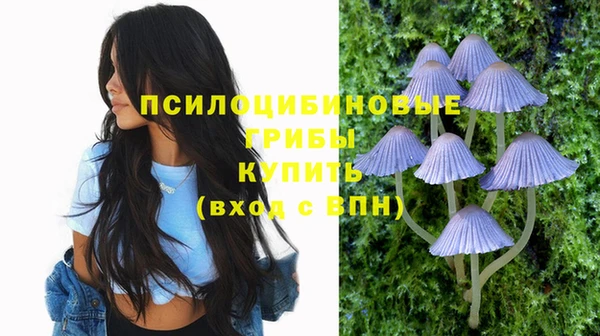 стаф Семёнов