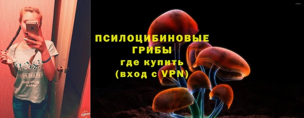 стаф Семёнов