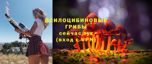 MDMA Premium VHQ Каменногорск
